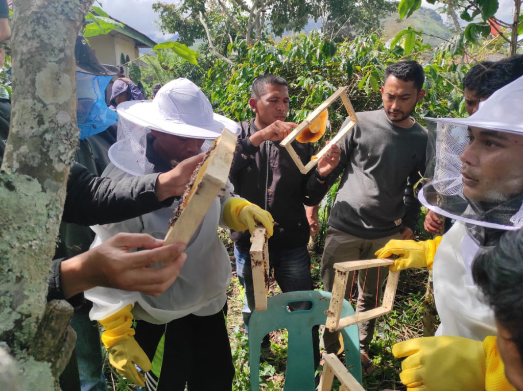 Pelatihan Budidaya Lebah Madu